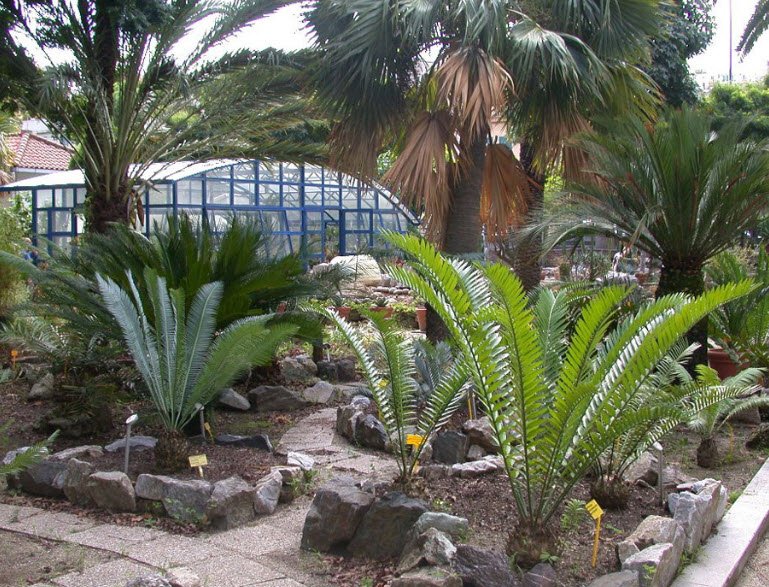 University Botanical Garden, Italy